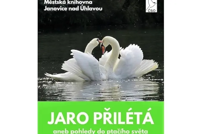 Hledm kmoe z Janovic nad hlavou, sluba 64 Tedy jestli jsem se trefil, tak mm dodnes jeho fotku, na podace, v pozad s nstnkou s konky. Bureem, protoe on to moc neuml a j mu vdycky pihrl na gla i kdy jsem ho mohl Kasrna V 1113 - Janovice nad hlavou - sacicrm.info